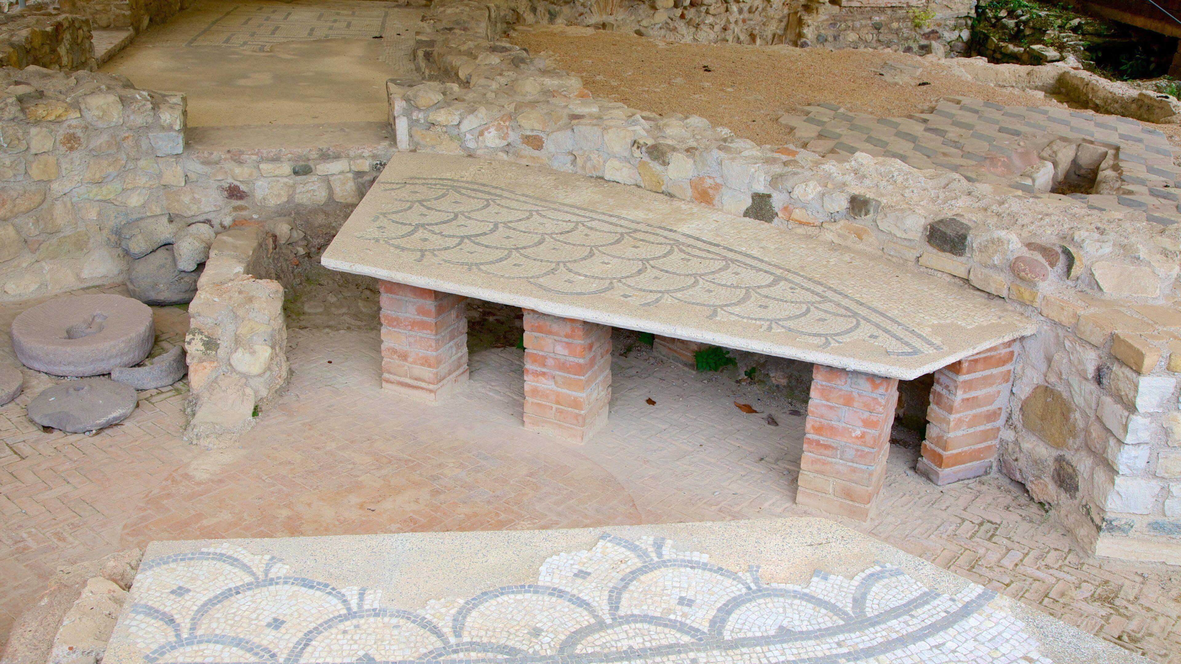 Roman Villa Mosaic Desenzano